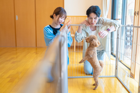 SHELTER.いすみwith dogs |千葉の貸別荘